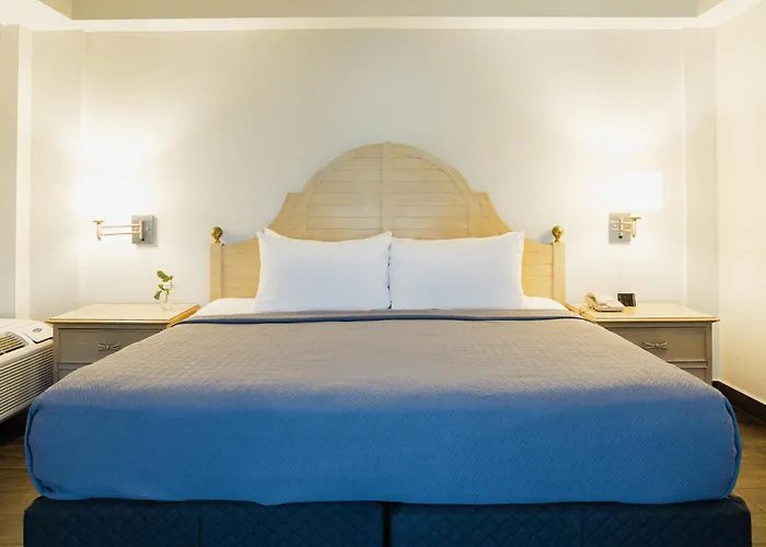 Hotel Parque Central